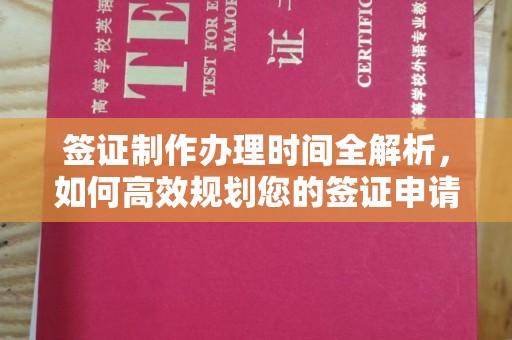 沙洋签证制作办理时间全解析，如何高效规划您的签证申请流程