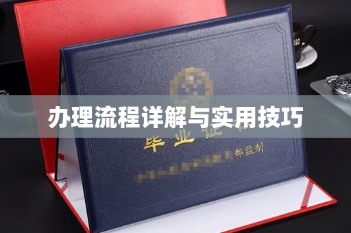 沙洋办理流程详解与实用技巧