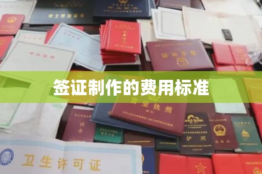 沙洋签证制作的费用标准