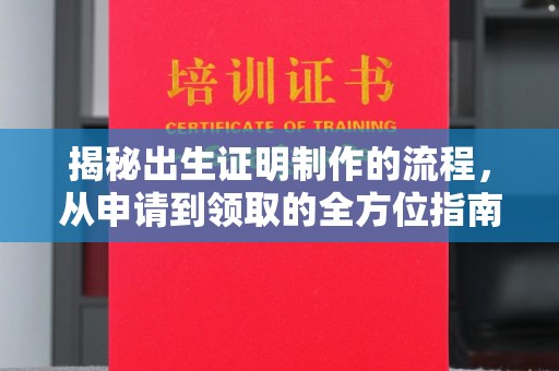 沙洋揭秘出生证明制作的流程，从申请到领取的全方位指南