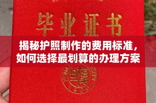 沙洋揭秘护照制作的费用标准，如何选择最划算的办理方案？