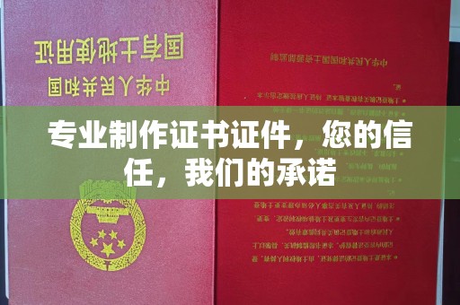 沙洋专业制作证书证件，您的信任，我们的承诺