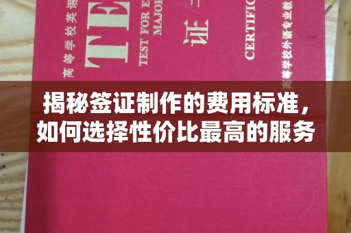 沙洋揭秘签证制作的费用标准，如何选择性价比最高的服务？