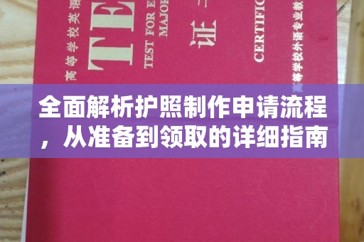 沙洋全面解析护照制作申请流程，从准备到领取的详细指南