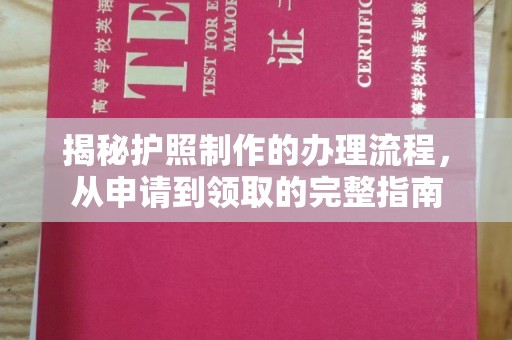 沙洋揭秘护照制作的办理流程，从申请到领取的完整指南