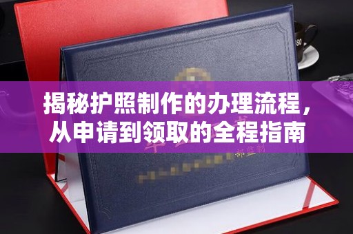沙洋揭秘护照制作的办理流程，从申请到领取的全程指南
