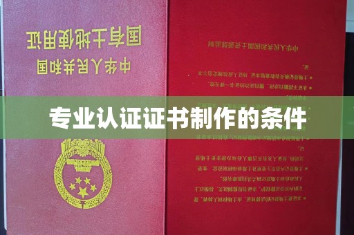 沙洋专业认证证书制作的条件