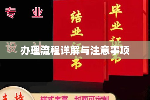 沙洋办理流程详解与注意事项